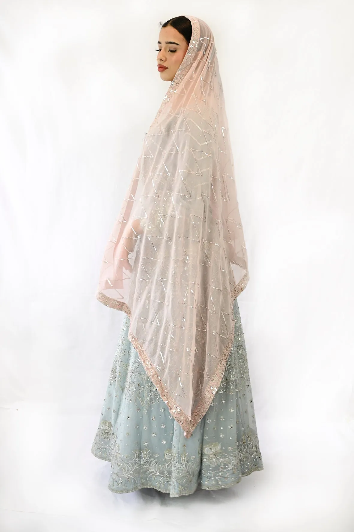 Baby Blue | Chiffon | Anarkali long Maxi dress