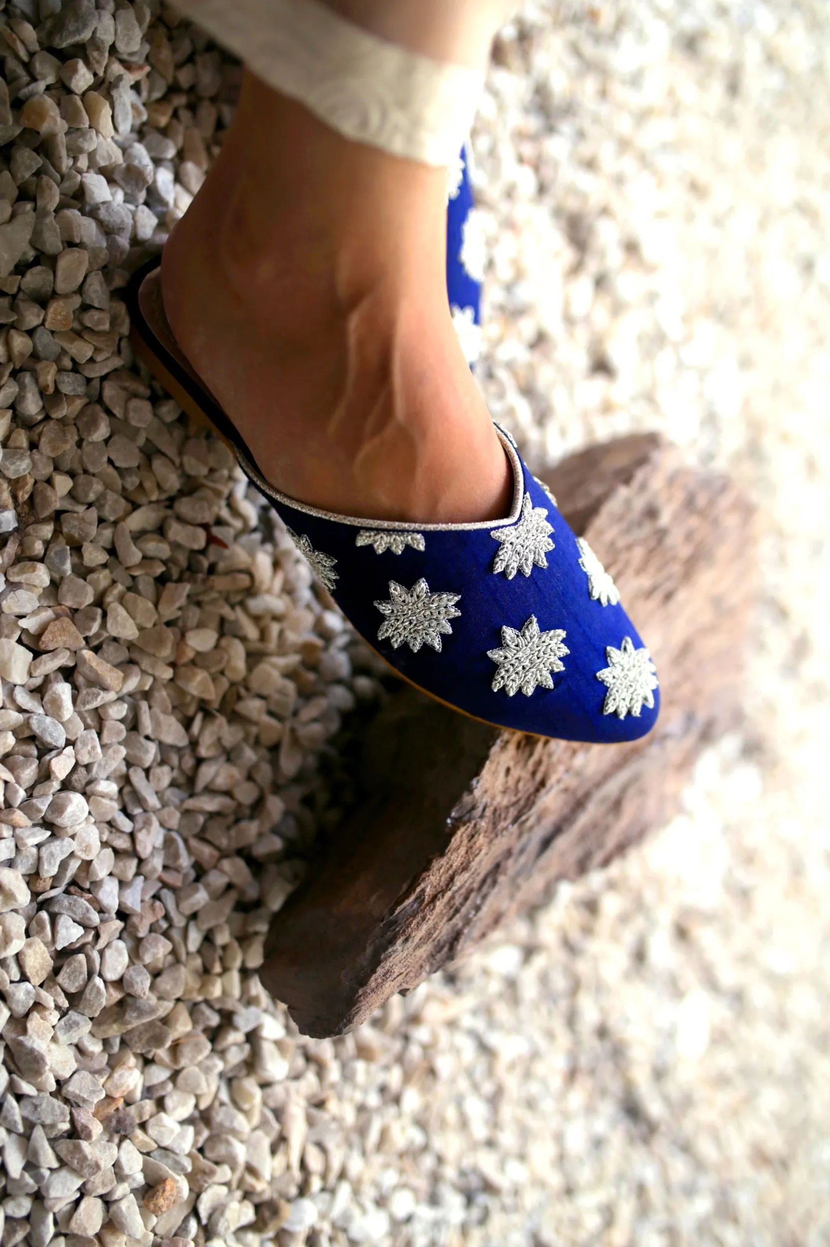 Mule | Sara